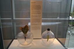 Richard Craig Meitner's The Secret Life of Objects at Corning Glass Museum.jpg