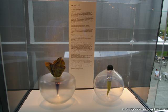 Richard Craig Meitner's The Secret Life of Objects at Corning Glass Museum.jpg
